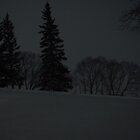 Snowy night by the lake