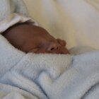 Sleeping innocence