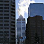 Light and the city 2