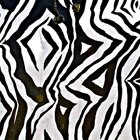 Zebra wall