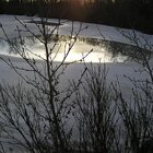 The wishes pool