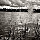 Splash