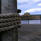 View from the docks