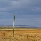 Golden prairies turning green