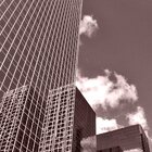 Downtown in monochrome 6