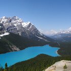 Amazing Peyto
