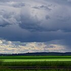 Summer thunderstorm 1