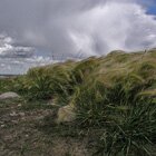 And the wind blows
