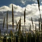 One fall hour - Towards the clouds