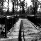 A bridge to autumn