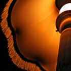 Voluptuous light and shadow