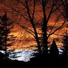 Almost scary beauty