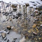 Reflections of early winter 2