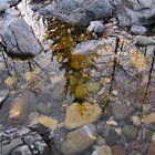 Reflections of early winter 1
