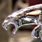 The Jaguar