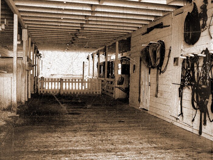 Empty barn