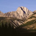 Rockies