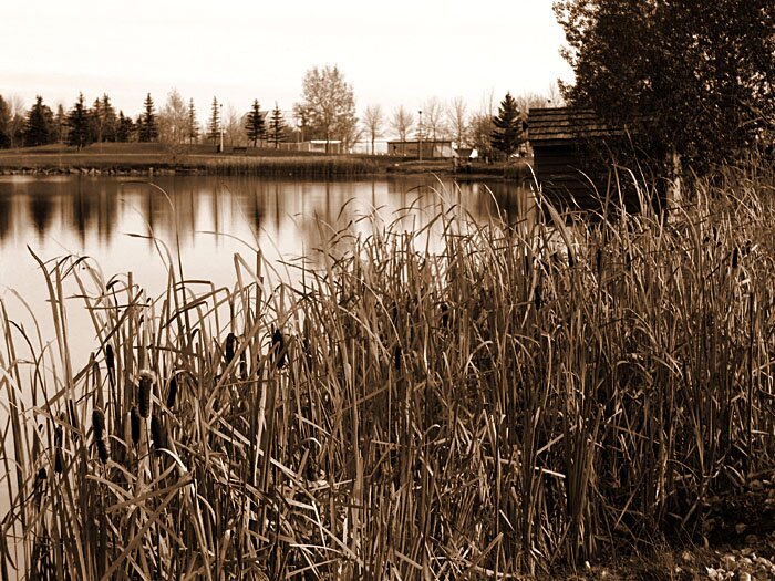 Peace and quiet >>> Click to go to the next photo