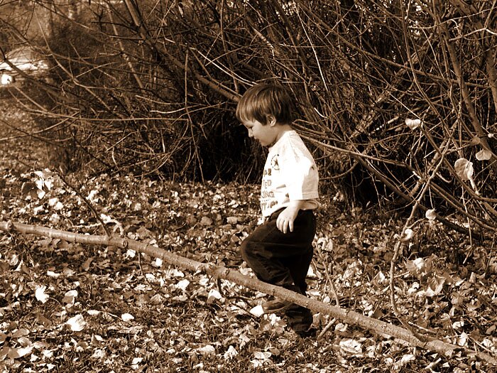 Playing here is an adventure >>> Click to go to the next photo