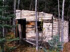 Little hut in the forest