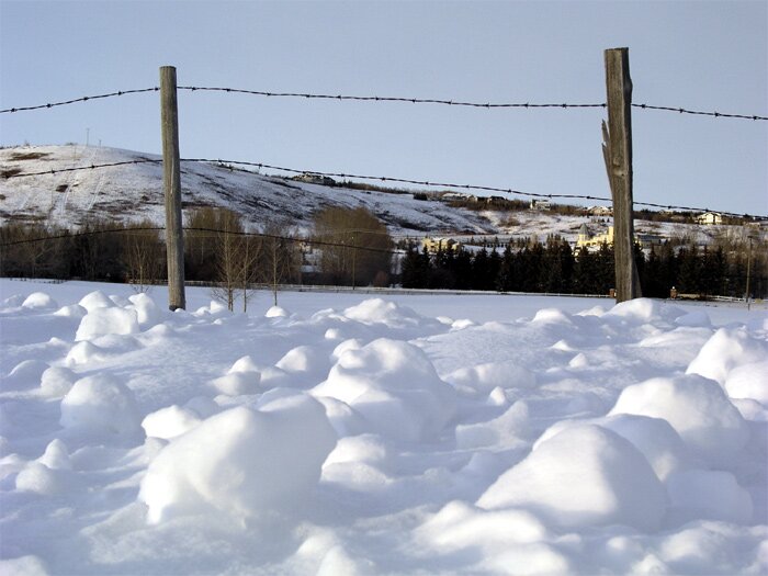 Fences 