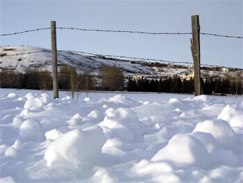 Fences