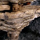 Sticks and/or Stones