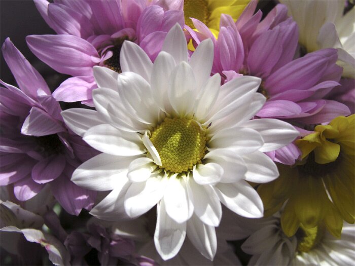 That's how he shows me he loves me >>> Click photo to close window