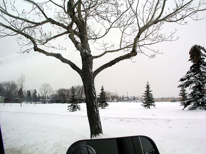 Snowy Saturday