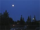 Night for love