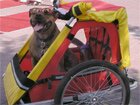 Coming for a ride?