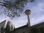 The tower