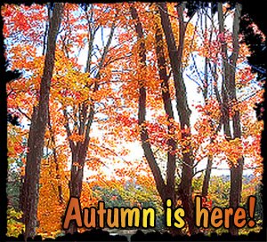 Autumn is here!