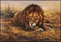 By Edward Aldrich